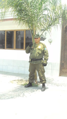 Sin Nombre